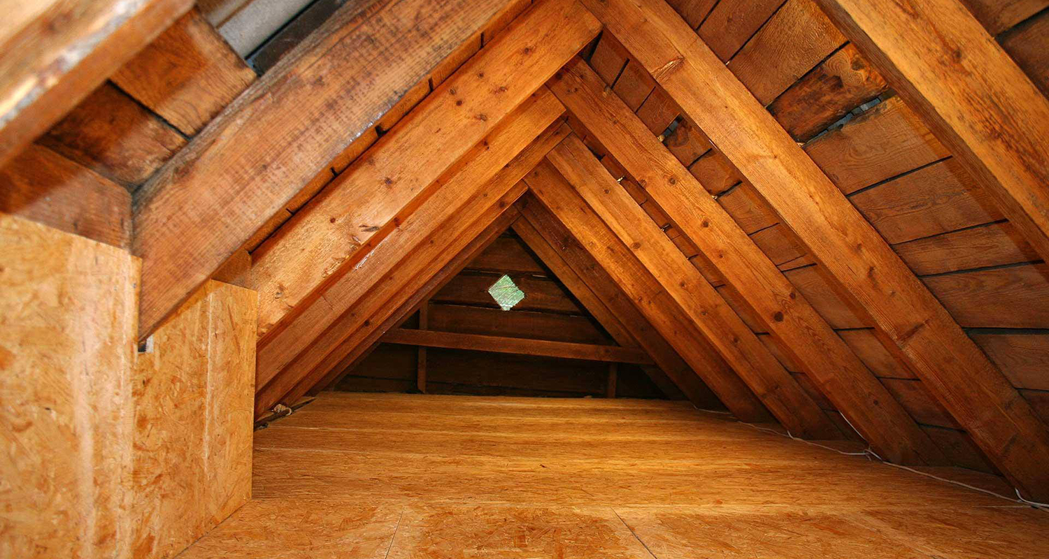 Attic Cleaning Livermore